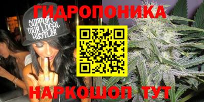 mdma Гусев