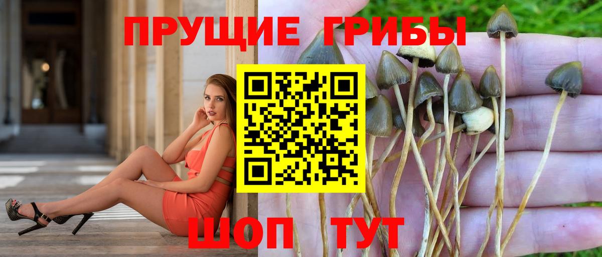 Псилоцибиновые грибы мухоморы Ейск